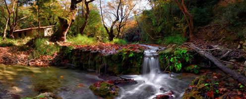 Πάρκο αναψυχής Πέρδικας